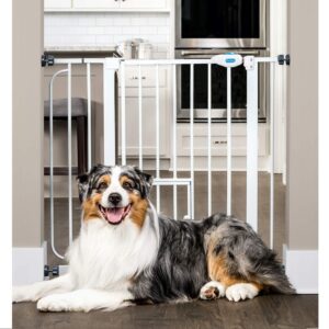 Carlson Extra Wide Walk Through Pet Gate Best Baby Gates With Pet Doors