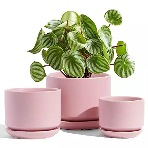 Pink Ceramic Plant Pots, 4+5+6 inch, Set of 3